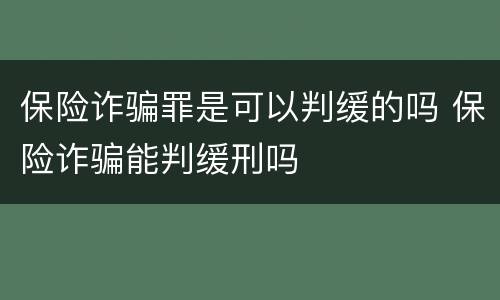 保险诈骗罪是可以判缓的吗 保险诈骗能判缓刑吗