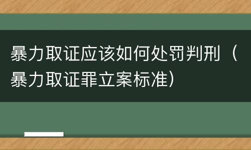 暴力取证应该如何处罚判刑（暴力取证罪立案标准）