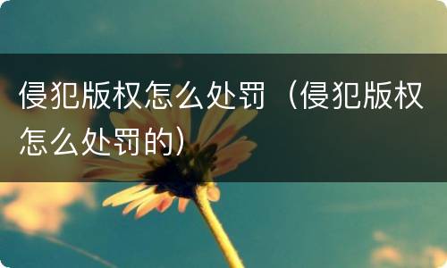 侵犯版权怎么处罚（侵犯版权怎么处罚的）