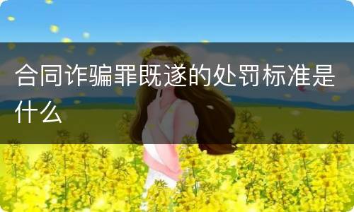 合同诈骗罪既遂的处罚标准是什么