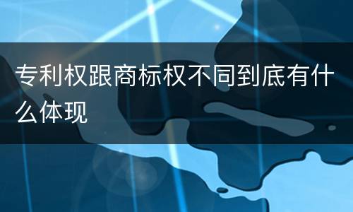 专利权跟商标权不同到底有什么体现