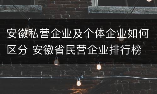 安徽私营企业及个体企业如何区分 安徽省民营企业排行榜