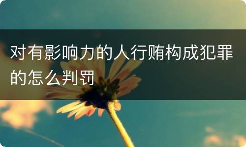 对有影响力的人行贿构成犯罪的怎么判罚