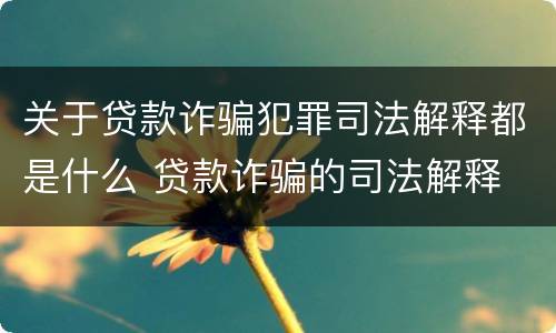 关于贷款诈骗犯罪司法解释都是什么 贷款诈骗的司法解释