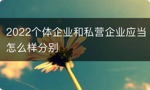 2022个体企业和私营企业应当怎么样分别