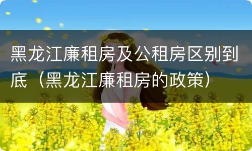 黑龙江廉租房及公租房区别到底（黑龙江廉租房的政策）