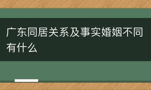 广东同居关系及事实婚姻不同有什么