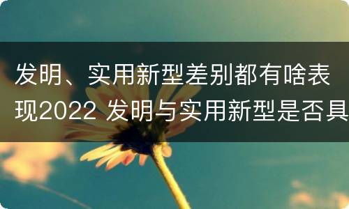 发明、实用新型差别都有啥表现2022 发明与实用新型是否具有实用性