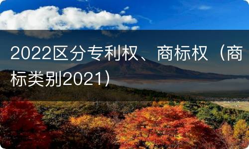 2022区分专利权、商标权（商标类别2021）