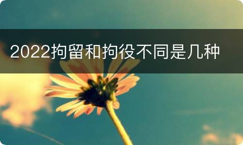 2022拘留和拘役不同是几种