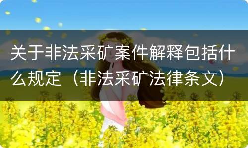 关于非法采矿案件解释包括什么规定（非法采矿法律条文）