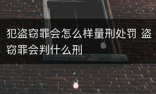 犯盗窃罪会怎么样量刑处罚 盗窃罪会判什么刑