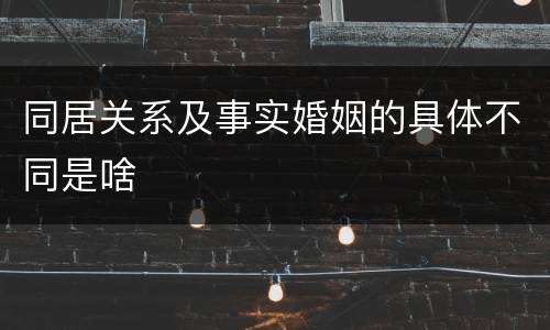同居关系及事实婚姻的具体不同是啥