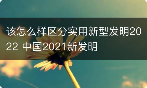 该怎么样区分实用新型发明2022 中国2021新发明