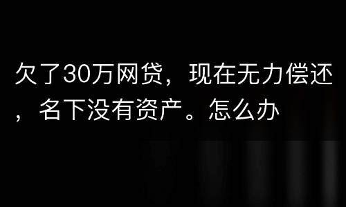 欠了30万网贷，现在无力偿还，名下没有资产。怎么办