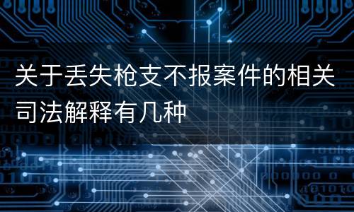 关于丢失枪支不报案件的相关司法解释有几种