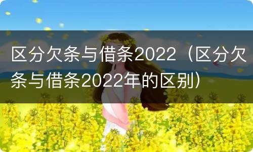 区分欠条与借条2022（区分欠条与借条2022年的区别）