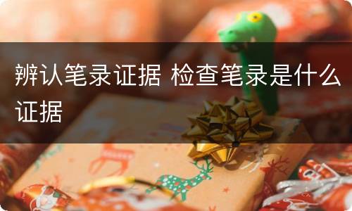 辨认笔录证据 检查笔录是什么证据