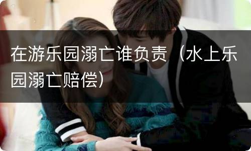 在游乐园溺亡谁负责（水上乐园溺亡赔偿）