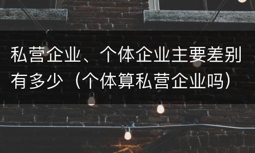 私营企业、个体企业主要差别有多少（个体算私营企业吗）