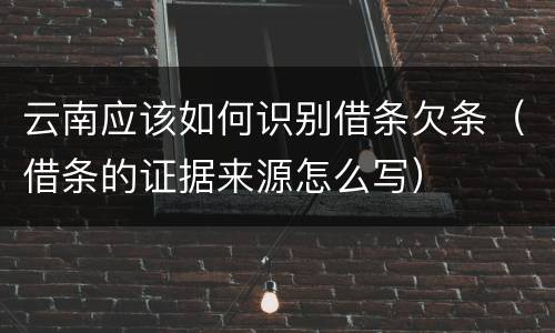 云南应该如何识别借条欠条（借条的证据来源怎么写）