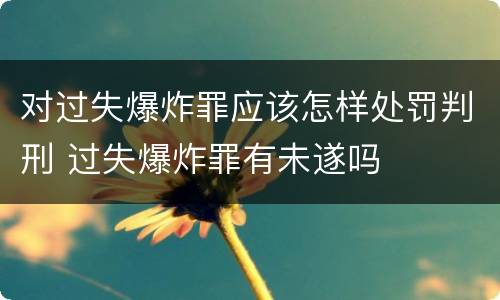 对过失爆炸罪应该怎样处罚判刑 过失爆炸罪有未遂吗