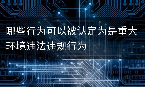 哪些行为可以被认定为是重大环境违法违规行为