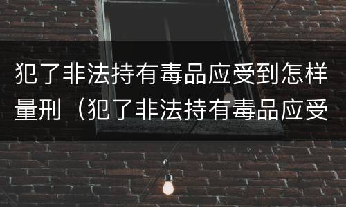 犯了非法持有毒品应受到怎样量刑（犯了非法持有毒品应受到怎样量刑的影响）