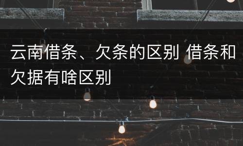 云南借条、欠条的区别 借条和欠据有啥区别