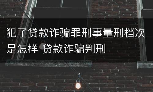 犯了贷款诈骗罪刑事量刑档次是怎样 贷款诈骗判刑