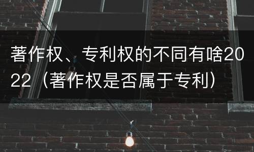 著作权、专利权的不同有啥2022（著作权是否属于专利）