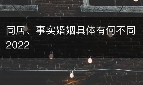 同居、事实婚姻具体有何不同2022