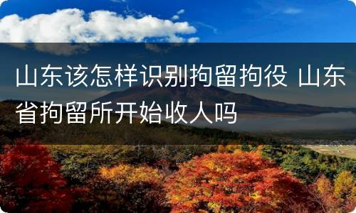 山东该怎样识别拘留拘役 山东省拘留所开始收人吗