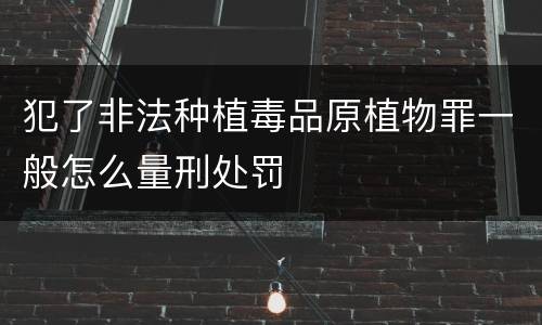 犯了非法种植毒品原植物罪一般怎么量刑处罚