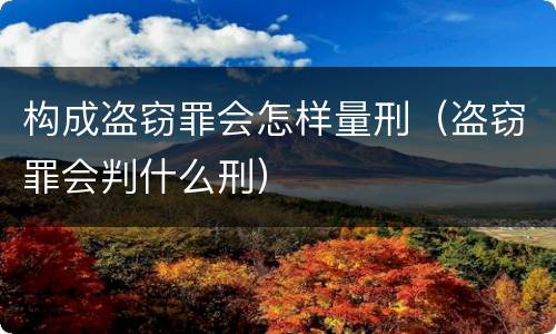 构成盗窃罪会怎样量刑（盗窃罪会判什么刑）