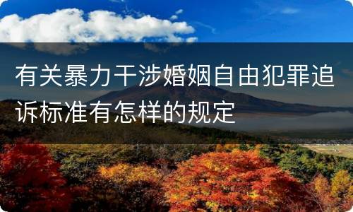 有关暴力干涉婚姻自由犯罪追诉标准有怎样的规定