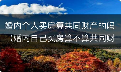 婚内个人买房算共同财产的吗（婚内自己买房算不算共同财产）