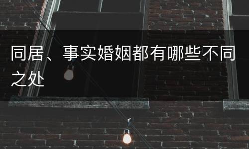 同居、事实婚姻都有哪些不同之处