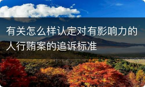 有关怎么样认定对有影响力的人行贿案的追诉标准