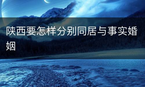 陕西要怎样分别同居与事实婚姻