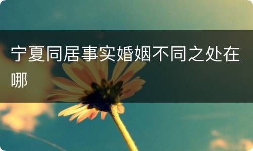 宁夏同居事实婚姻不同之处在哪