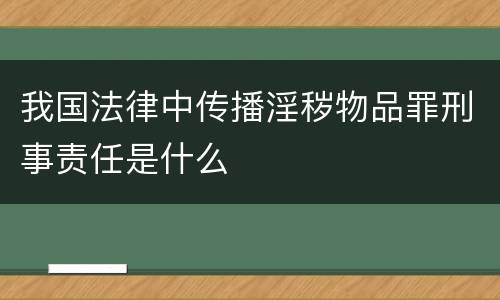 我国法律中传播淫秽物品罪刑事责任是什么