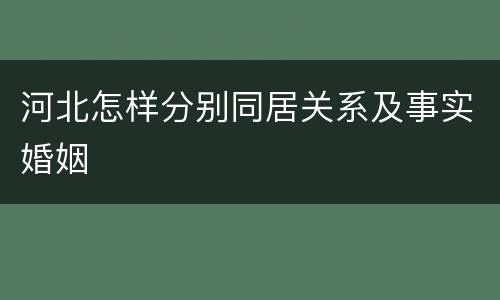 河北怎样分别同居关系及事实婚姻