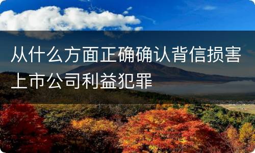 从什么方面正确确认背信损害上市公司利益犯罪