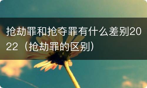 抢劫罪和抢夺罪有什么差别2022（抢劫罪的区别）