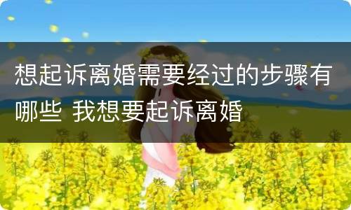 想起诉离婚需要经过的步骤有哪些 我想要起诉离婚