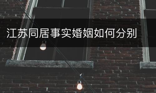 江苏同居事实婚姻如何分别