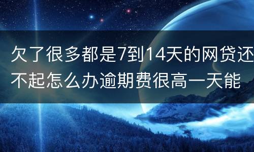 欠了很多都是7到14天的网贷还不起怎么办逾期费很高一天能张几百