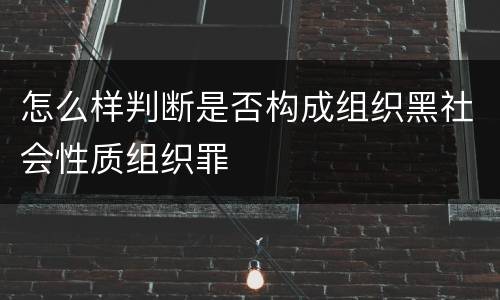怎么样判断是否构成组织黑社会性质组织罪