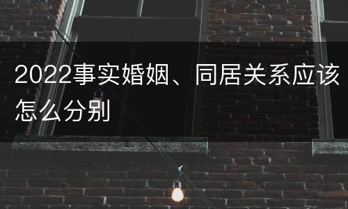 2022事实婚姻、同居关系应该怎么分别